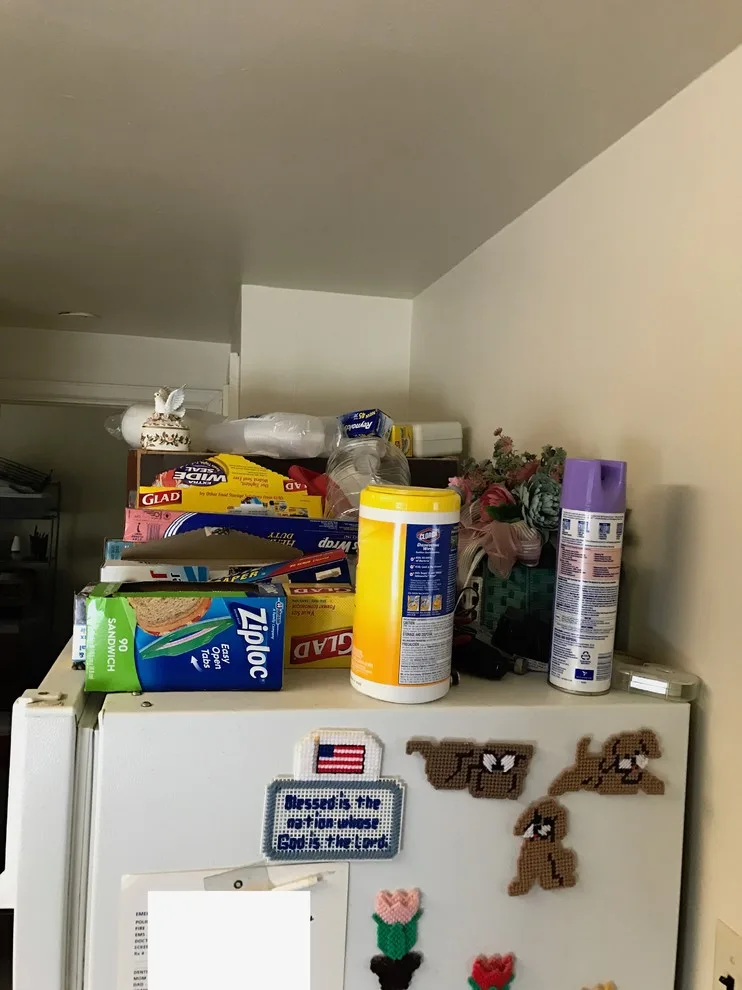 State College 2BR Apartment Organization Initiative by Organized By Josh - Photo 2