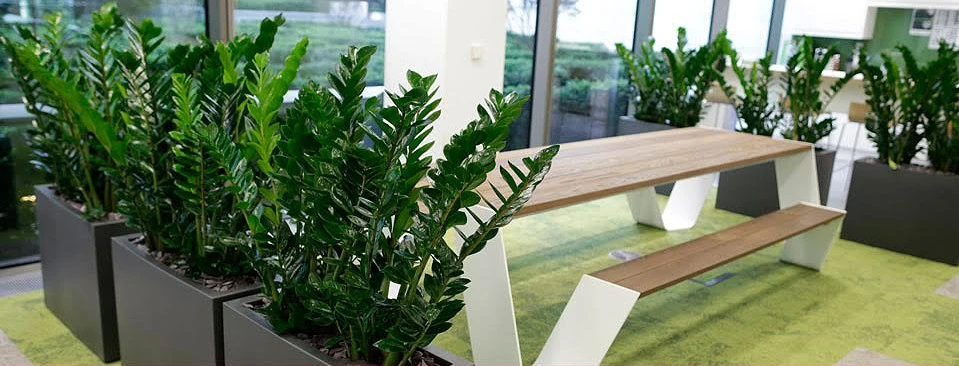 Interior Services by Interior & Exterior Environmental Designs - Photo 20