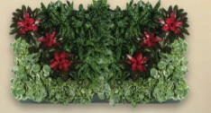 Interior & Exterior Environmental Designs - Photo 3
