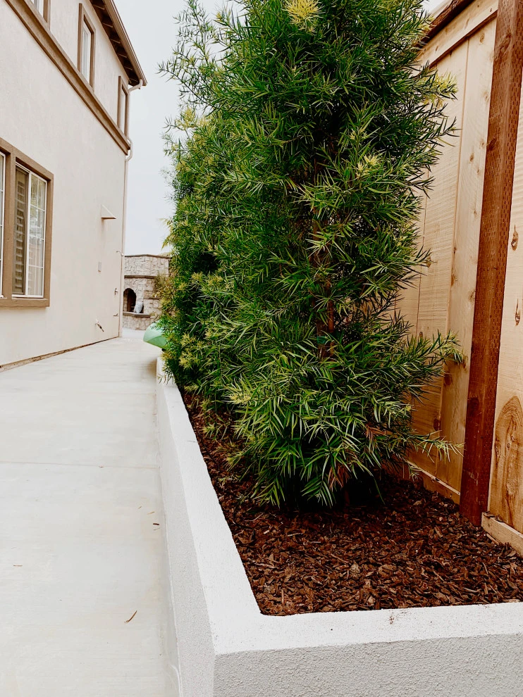 Carlsbad Beach house by Interior & Exterior Environmental Designs - Photo 3