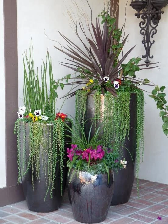 Landscape Designs 2020 by Interior & Exterior Environmental Designs - Photo 16