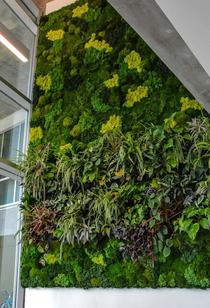 Interior Services by Interior & Exterior Environmental Designs - Photo 9