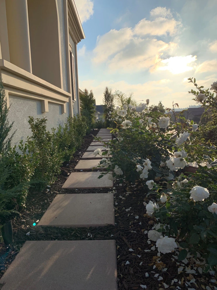 Exterior Landscaping by Interior & Exterior Environmental Designs - Photo 6