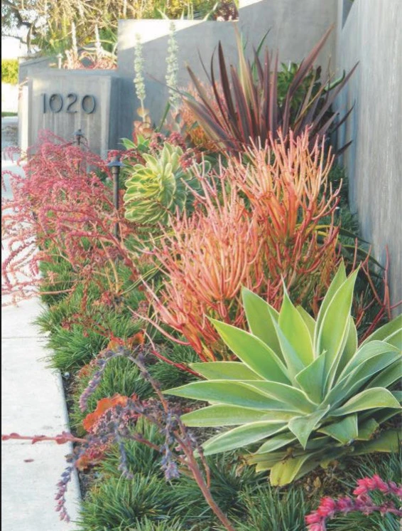 Landscape Designs 2020 by Interior & Exterior Environmental Designs - Photo 18