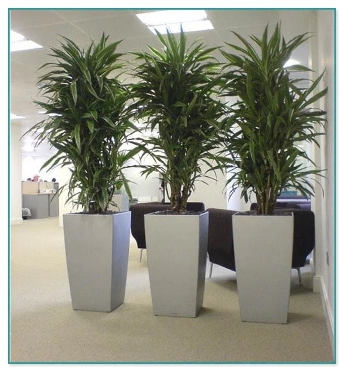Interior Services by Interior & Exterior Environmental Designs - Photo 2