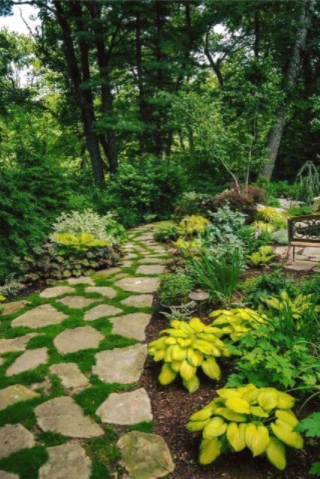 Landscape Designs 2020 by Interior & Exterior Environmental Designs - Photo 12