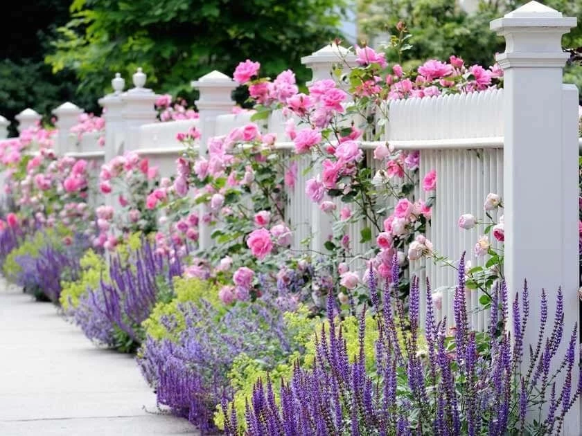 Landscape Designs 2020 by Interior & Exterior Environmental Designs - Photo 4