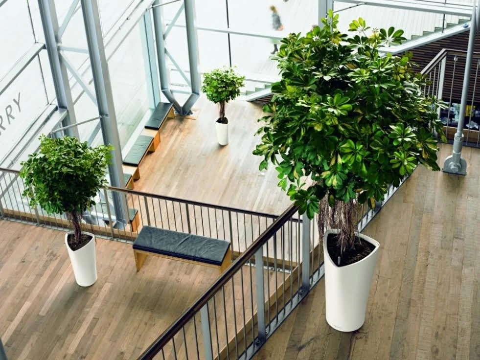 Interior & Exterior Environmental Designs - Photo 5