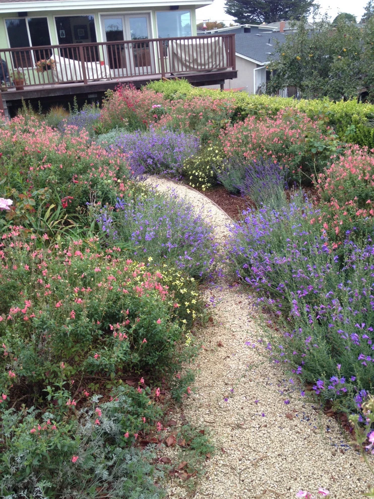 Jim Link Landscapes - Photo 12