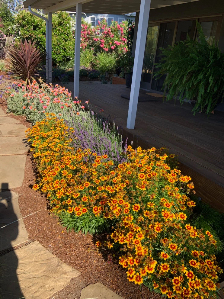 Jim Link Landscapes - Photo 13
