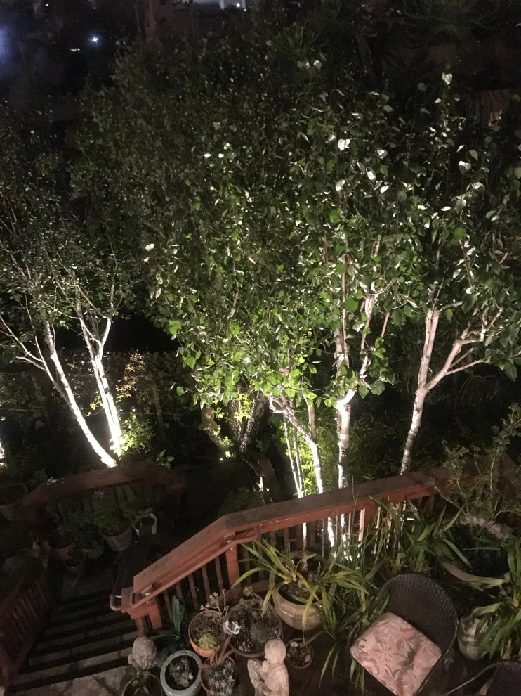 Landscape Design & Build by Jim Link Landscapes - Photo 6