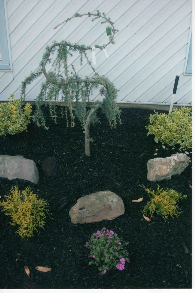 Front Yard landscaping with Belgium Block tree rings by Joseph Matthew Landscape Inc Design & Build - Photo 5