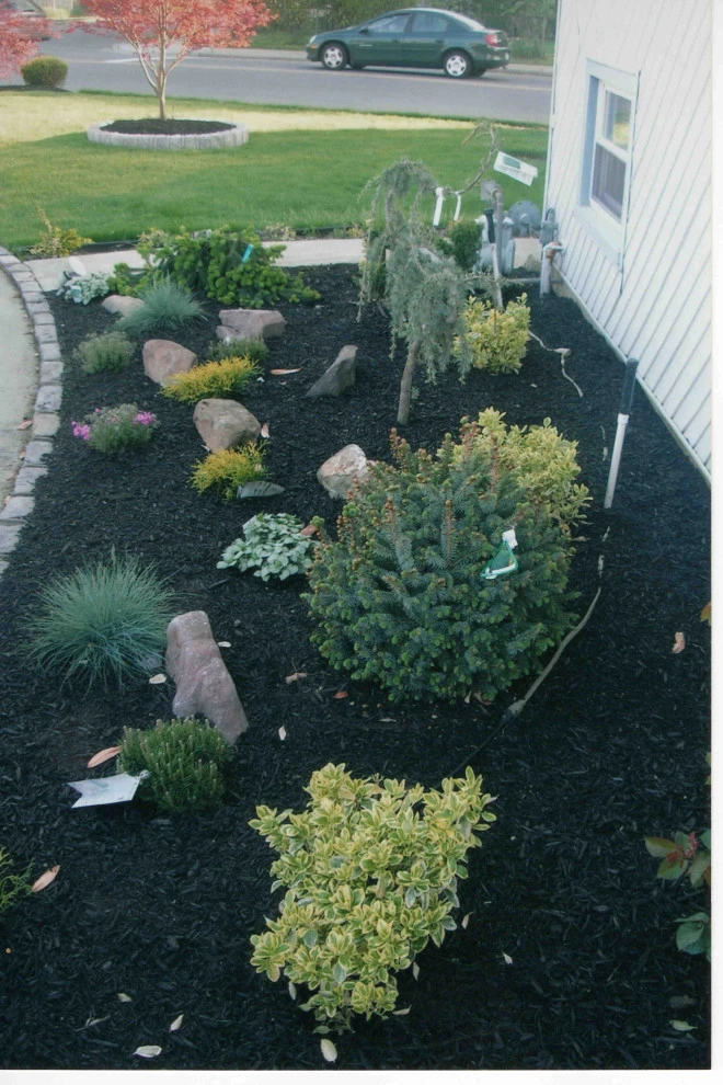 Front Yard landscaping with Belgium Block tree rings by Joseph Matthew Landscape Inc Design & Build - Photo 7