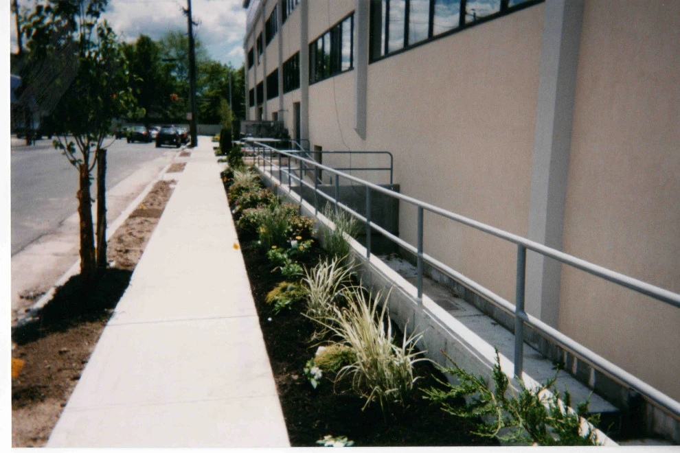 Commercial landscape design and planting by Joseph Matthew Landscape Inc Design & Build - Photo 6