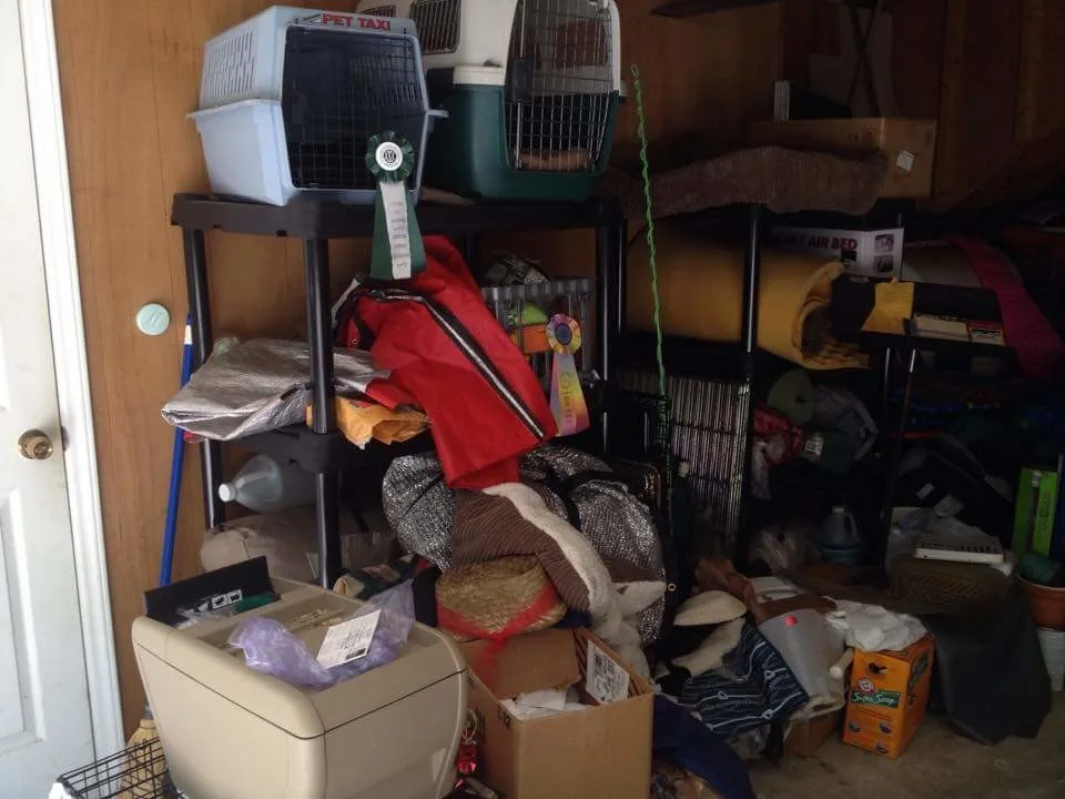 Taylor Organizing - Photo 9