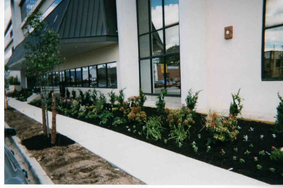 Commercial landscape design and planting by Joseph Matthew Landscape Inc Design & Build - Photo 4