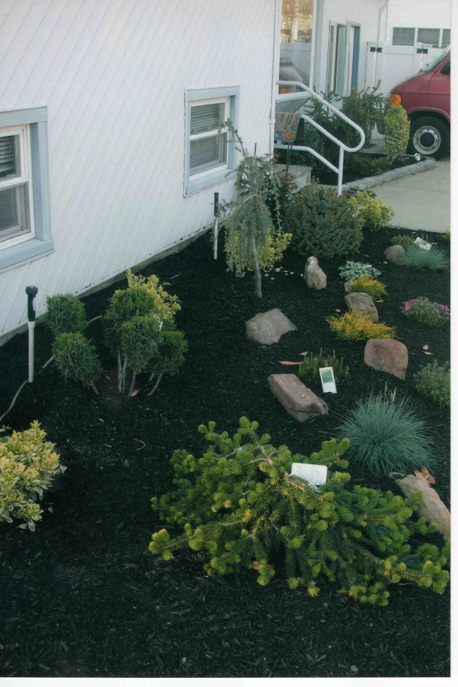 Front Yard landscaping with Belgium Block tree rings by Joseph Matthew Landscape Inc Design & Build - Photo 6