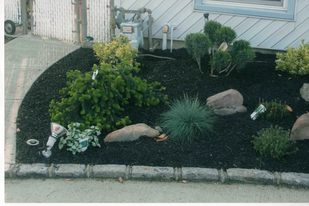 Front Yard landscaping with Belgium Block tree rings by Joseph Matthew Landscape Inc Design & Build - Photo 3