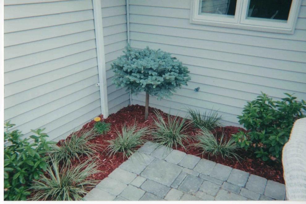Backyard oasis and complete renovation by Joseph Matthew Landscape Inc Design & Build - Photo 8