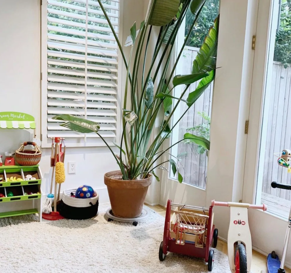 Di Is Organized - Photo 9