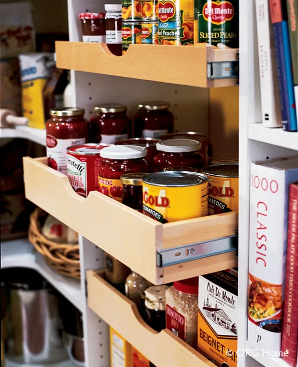 Storage Solutions for Pantry Shelving and Cabinets by Innovate Home Org - Photo 5