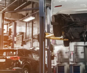 Pelican Tint & Tire Shop - Photo 5