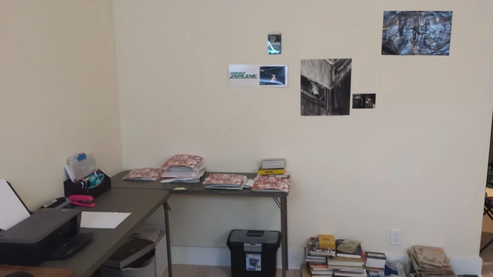 Guest Room/Workspace by Serene Spaces Professional Organizing - Photo 3