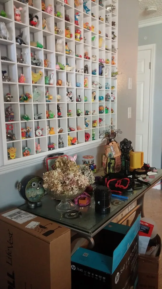 Carmen Muniz, Professional Organizer - Photo 9