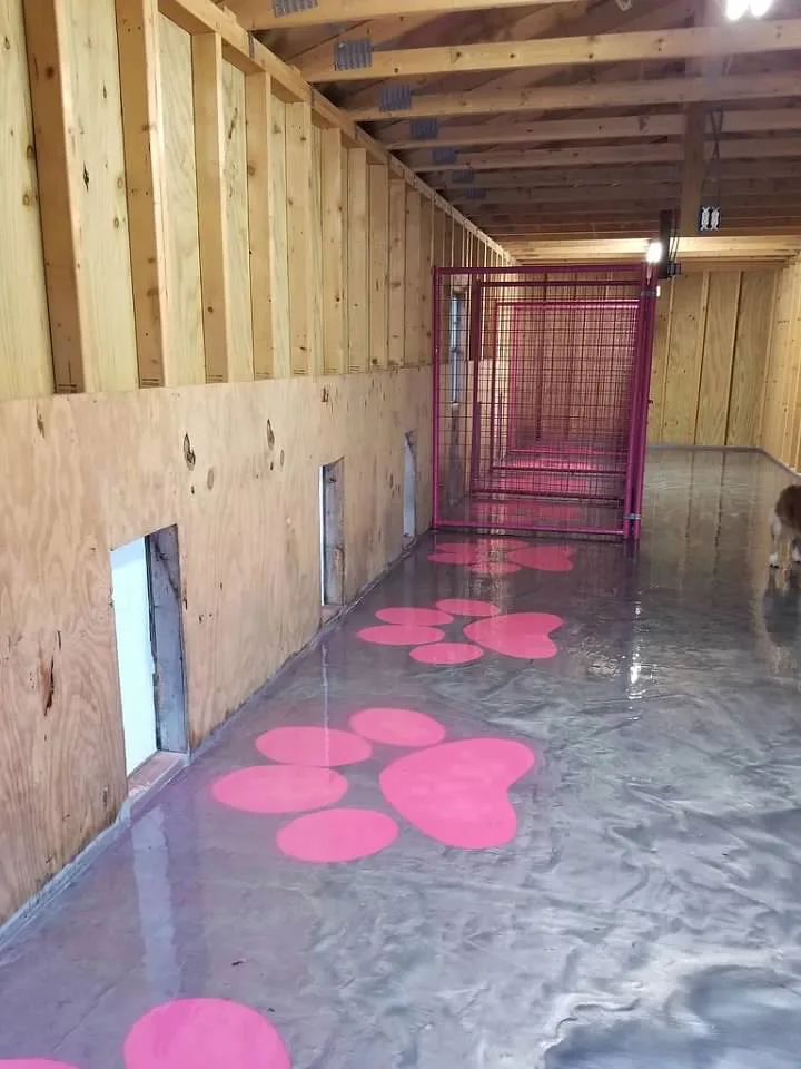 Custom Coastal LLC - Photo 5