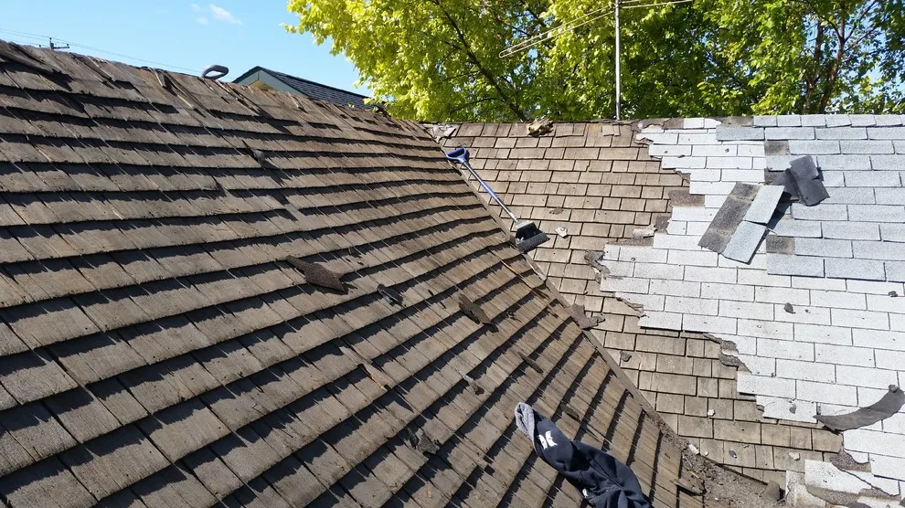 JC Property Services LLC - Photo 4