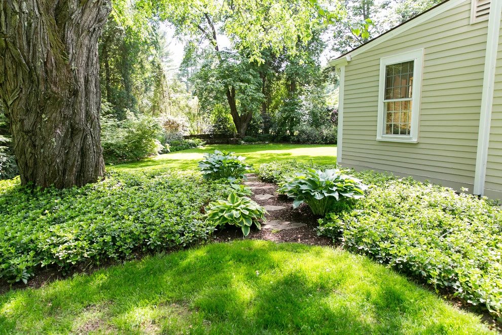Wayland Antique by Lynch Landscape And Tree Service, Inc. - Photo 11
