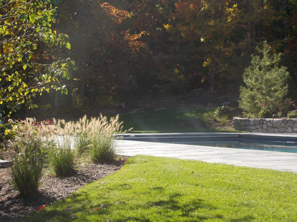 Sudbury Pool by Lynch Landscape And Tree Service, Inc. - Photo 7