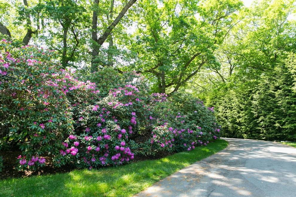 Lynch Landscape And Tree Service, Inc. - Photo 4