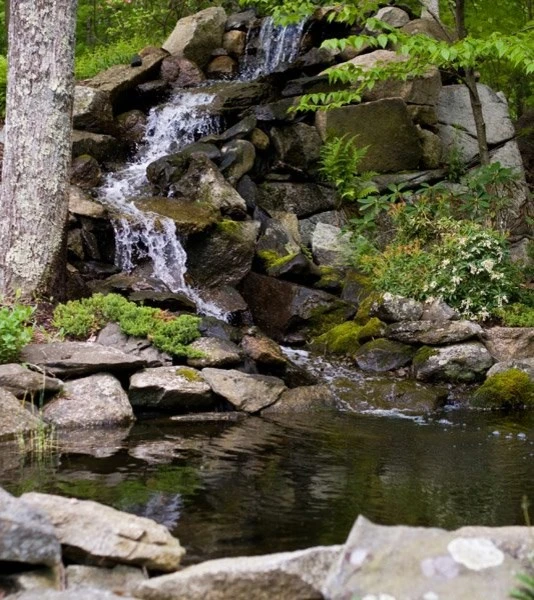 Landscape Projects by Lynch Landscape And Tree Service, Inc. - Photo 15