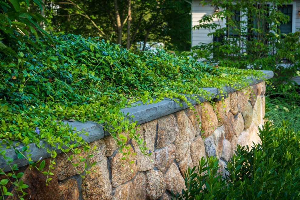 Priscilla Road by Lynch Landscape And Tree Service, Inc. - Photo 5