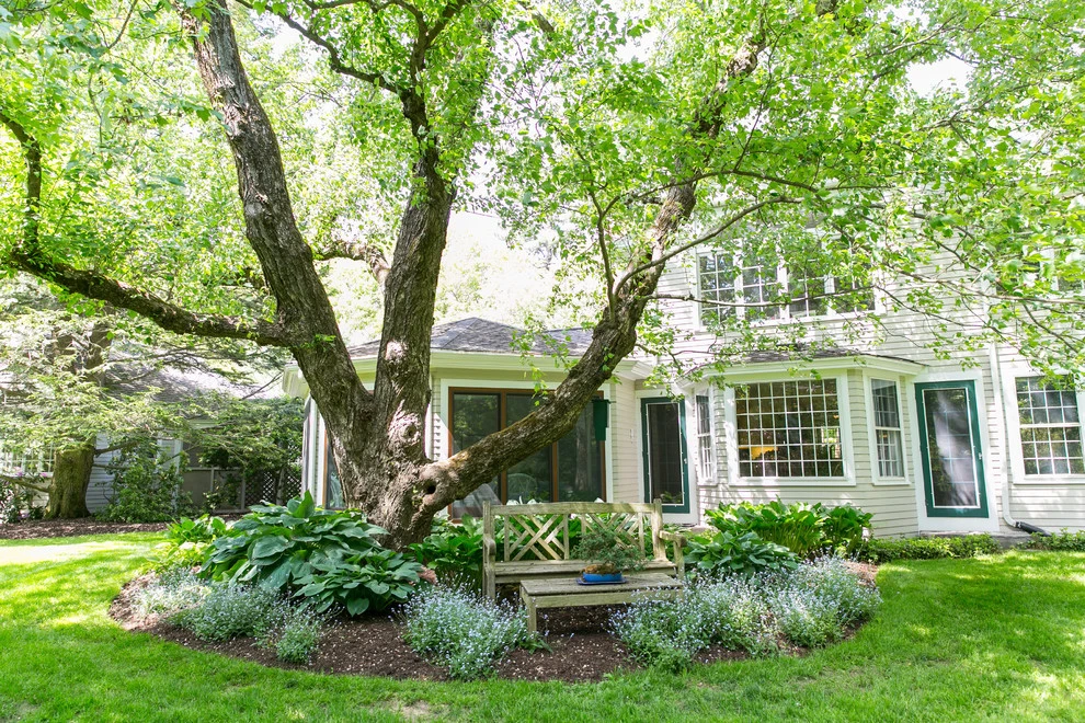 Wayland Antique by Lynch Landscape And Tree Service, Inc. - Photo 2