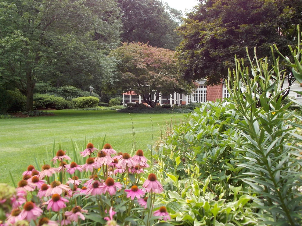 Lynch Landscape And Tree Service, Inc. - Photo 14