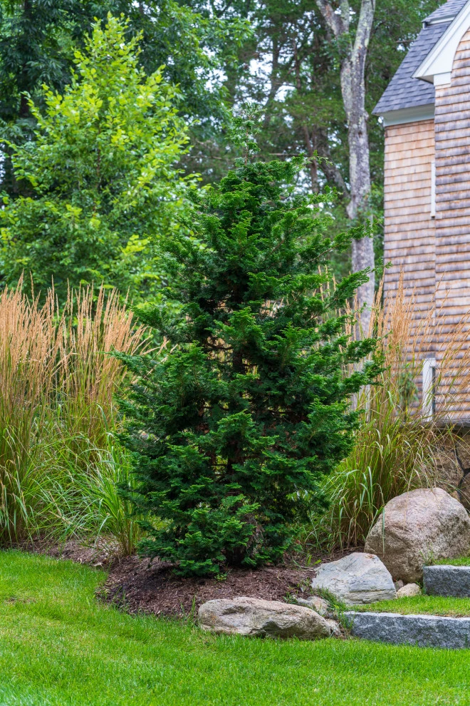 Plympton Road by Lynch Landscape And Tree Service, Inc. - Photo 13
