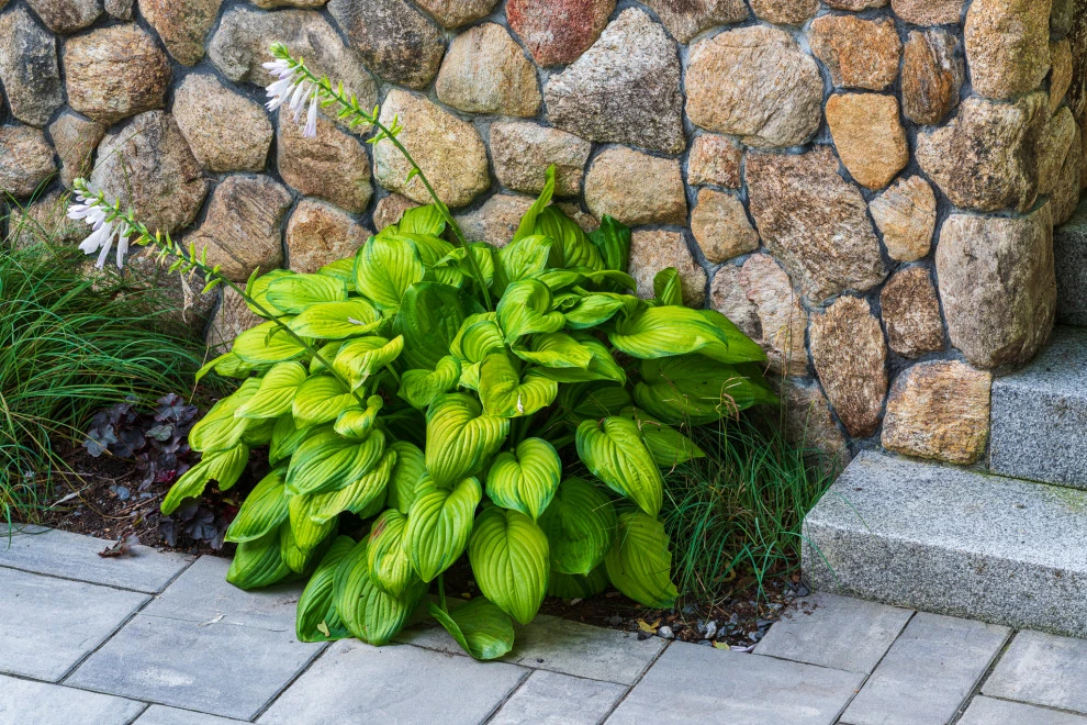 Priscilla Road by Lynch Landscape And Tree Service, Inc. - Photo 25