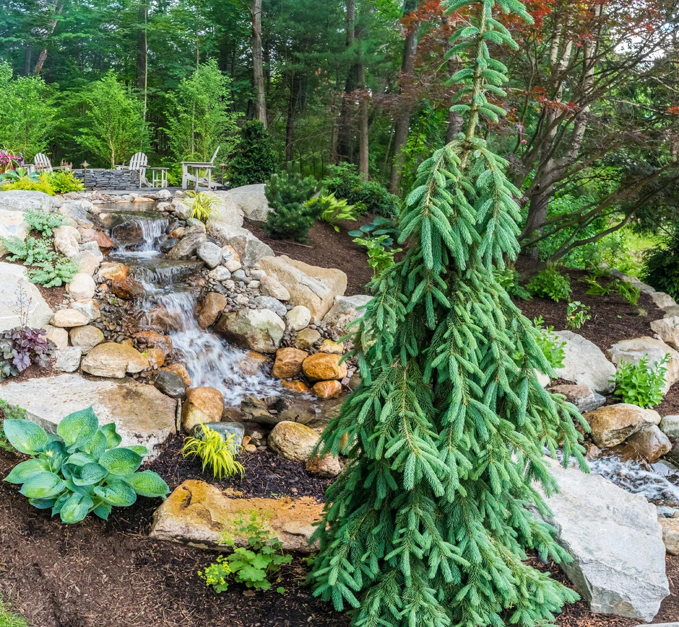 Sherman Bridge Road by Lynch Landscape And Tree Service, Inc. - Photo 11