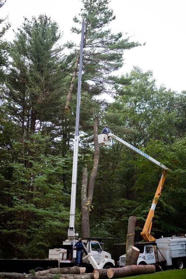 Landscape Projects by Lynch Landscape And Tree Service, Inc. - Photo 12