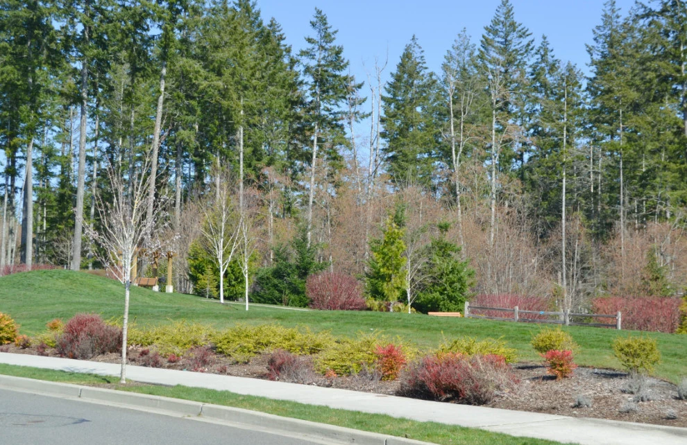 Nasim Landscape - Photo 11