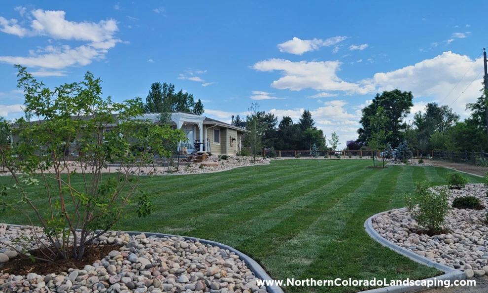 1 Acre Landscaping Renovation by Northern Colorado Landscaping - Photo 3