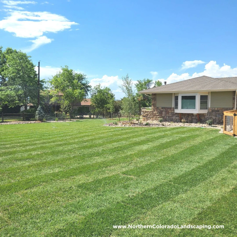 Northern Colorado Landscaping - Photo 9