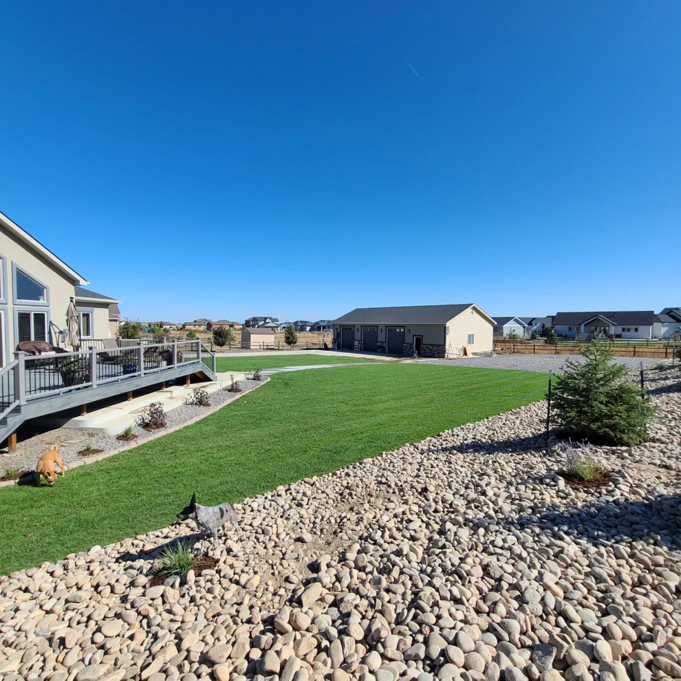 Landscaping Renovation (Berm, Irrigation System, Sod, Trees, Hardscaping) by Northern Colorado Landscaping - Photo 5