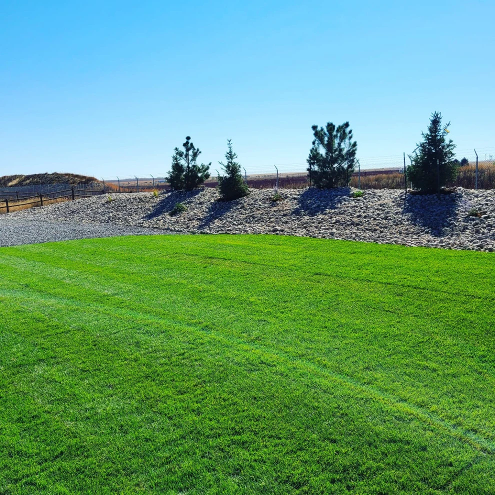 Landscaping Renovation (Berm, Irrigation System, Sod, Trees, Hardscaping) by Northern Colorado Landscaping - Photo 3