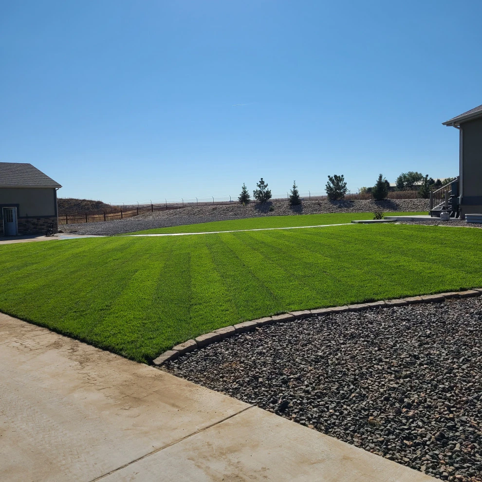 Landscaping Renovation (Berm, Irrigation System, Sod, Trees, Hardscaping) by Northern Colorado Landscaping - Photo 2