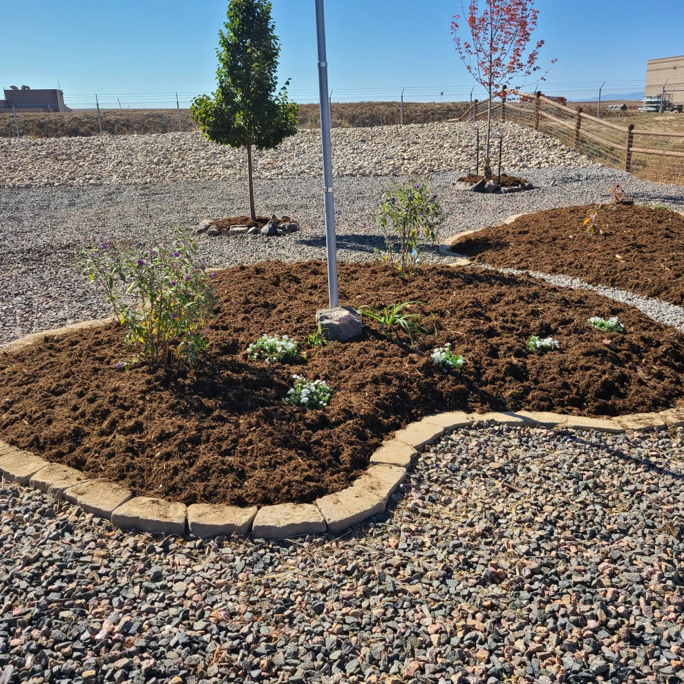 Landscaping Renovation (Berm, Irrigation System, Sod, Trees, Hardscaping) by Northern Colorado Landscaping - Photo 4