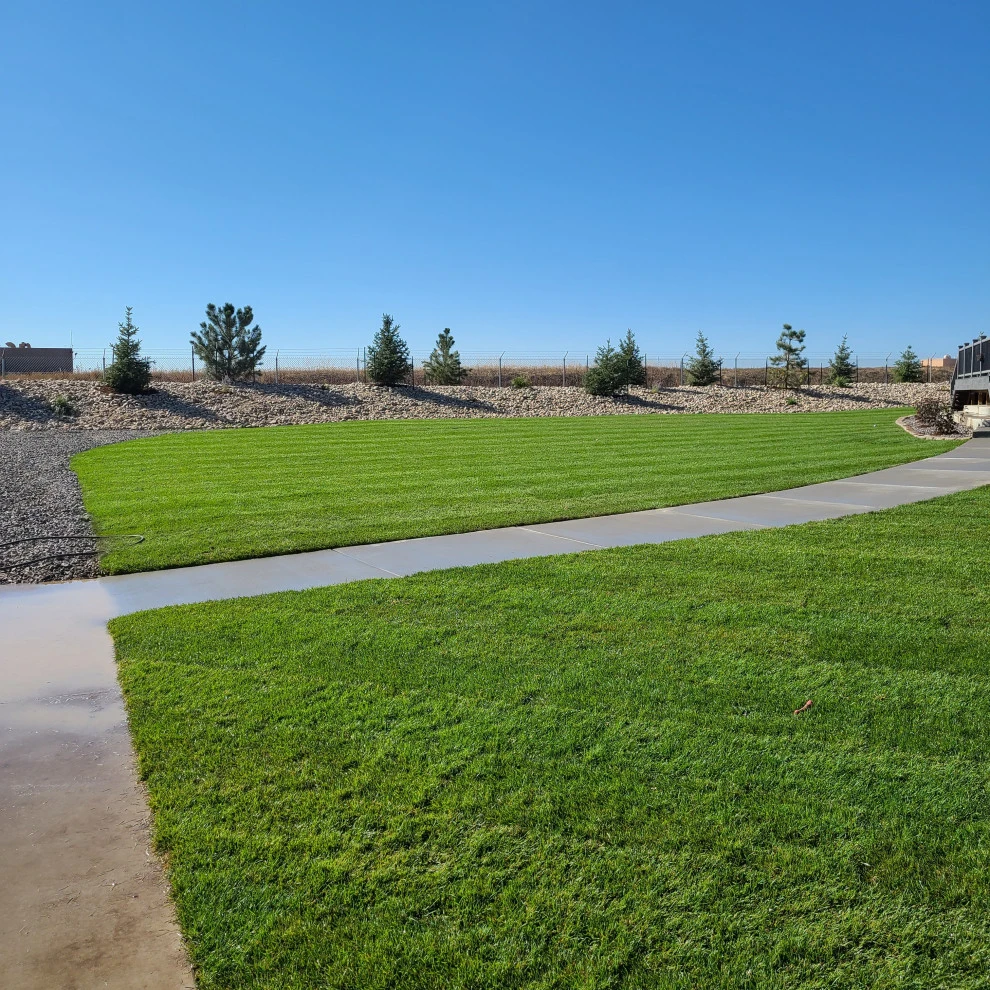 Landscaping Renovation (Berm, Irrigation System, Sod, Trees, Hardscaping) by Northern Colorado Landscaping - Photo 6