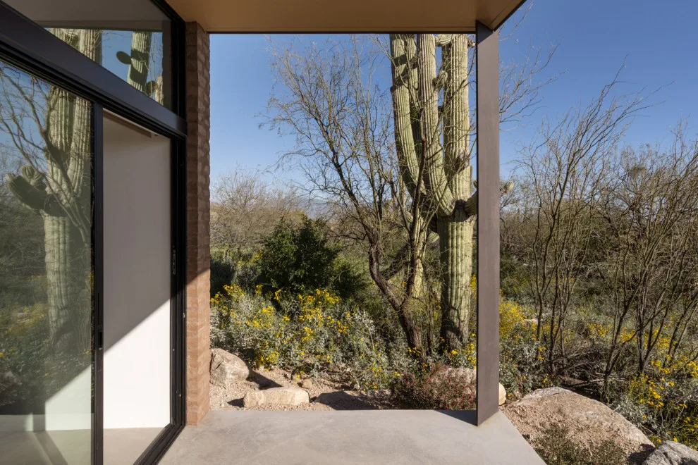 Ibarra Rosano Design Architects - Photo 12